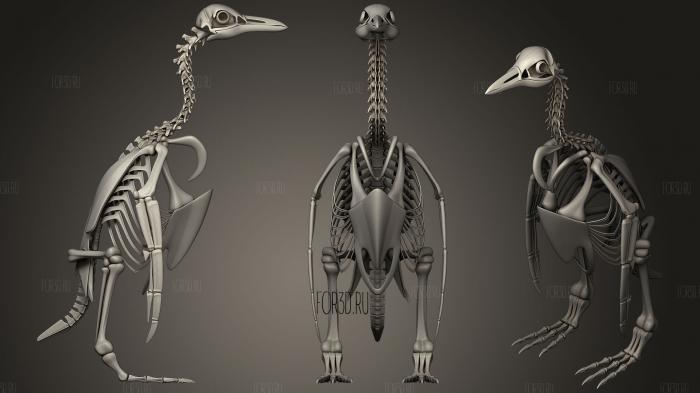 Скелет пингвина 3d stl модель для ЧПУ